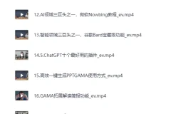 《船长-AIGC商业实战应用课》手把手教学，商业落地，学以致用，实现第二职业腾飞[MP4]
