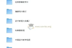 【中国武术教学视频】【20.5G】