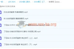 2024高三高考语文 丁钰临语文 秋季班