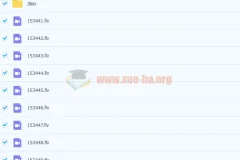 张丁儿 初三数学实验班经典题练15讲带讲义