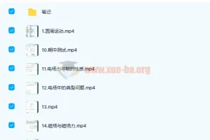 高考物理 何连伟 2020高考物理一轮复习秋季班 19讲完结带讲义