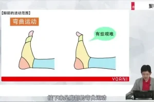 代代木动画学院：零基础角色绘画速成指南