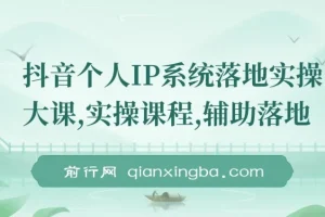【精】抖音个人IP系统落地实操大课，实操课程，辅助落地