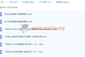 2024高三高考语文 丁钰临语文 秋季班