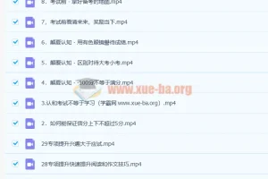 清华潘潘 清华方法高效考试攻略 教你学会考试 29讲完结