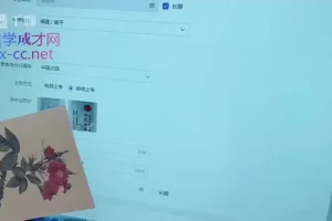 抖音小店运营全攻略：新手到高手的实操指南