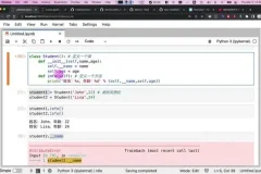 《零基础Python趣味AI项目实战：ChatGLM/YoloV8全攻略》