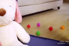 崔璀：高效自我管理实战课，职场与生活双赢