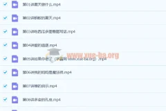 李鑫 2019暑 小学二年级语文暑假班 10讲