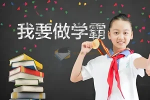 小学学霸专题系列资料包