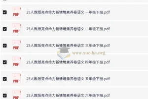 小学语文 2025人教版亮点给力新情境素养卷