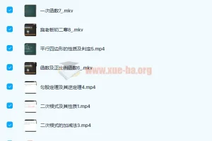 初中数学 施佳辰施老板 2020寒 初二数学寒假班课程 7讲带讲义完结