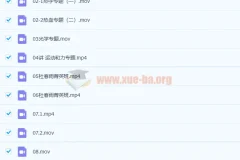 杜春雨 2021春 初三物理直播菁英班14讲带讲义