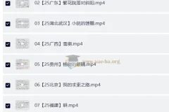 青青2025年中考语文阅读理解视频课 + 青青语文美文赏析151篇