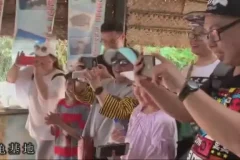 王芳老师知识脱口秀全集：历史、文化与趣闻