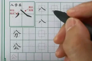 《萝卜老师练字课：从基础到进阶，快速提升书写技巧》