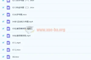 杜春雨 2021春 初三物理直播菁英班14讲带讲义