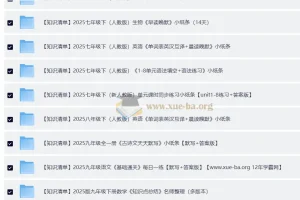 2025 初中知识清单合集 每日一练查漏补缺专享打印版）