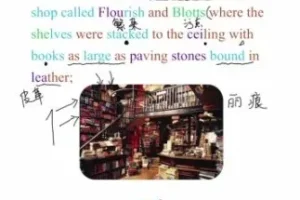 哈利波特精读课：用原著打造沉浸式英语环境（附文化解析）