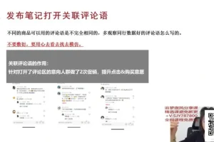 小红书陪跑营：从选品到爆款笔记实战指南