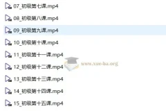 【音基考试】中央音乐学院初级音基考试视频课程