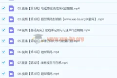 2024高二物理 彭娟娟物理 A+寒假班