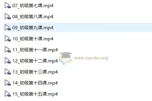 【音基考试】中央音乐学院初级音基考试视频课程