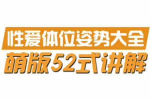 动漫版xx姿势大全，共52式