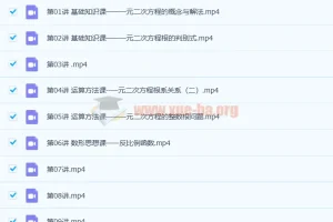 朱韬 2021秋 初二数学目标S班 16讲带讲义完结