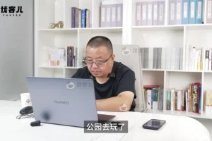 青少年厌学抑郁解决指南：16大实操咨询课程