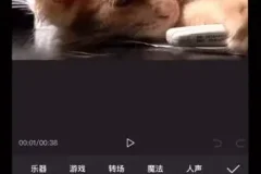 《剪映视频剪辑38课：新手快速进阶指南》