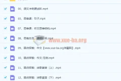 2022树成林平盖尔 高考语文冲刺课 47讲