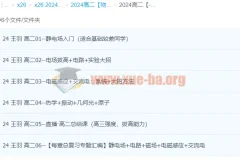 高中物理 2024高二物理 王羽物理