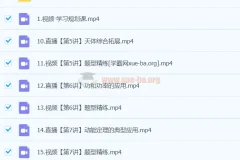 2024高一物理 袁帅物理 S春季班