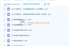 2023高考生物 任春磊生物 第一阶段 第二阶段更新6讲