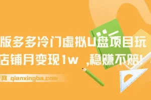2025版多多冷门虚拟U盘项目玩法，单店铺月变现1w+，稳赚不赔！