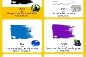 儿童英语启蒙：零基础单词卡全集