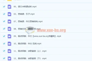 2022树成林平盖尔 高考语文冲刺课 47讲
