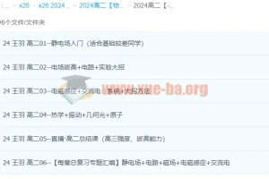 高中物理 2024高二物理 王羽物理