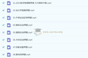 赵玉峰 2025高三高考物理 冲刺押题