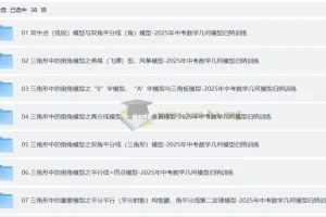 2024-2025中考数学-几何模型归纳训练（全国通用）
