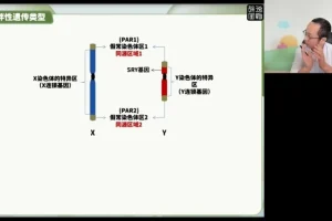 2024高三生物押题班-徐京精讲