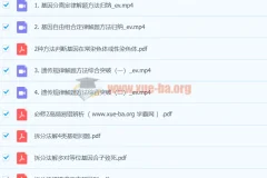 2024高三高考生物 十一集训课