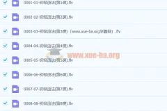 初中英语 初级语法 60课视频 FLV + PDF讲义