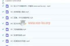 2024高三高考生物 毛慧 寒假班