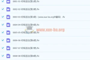 初中英语 初级语法 60课视频 FLV + PDF讲义