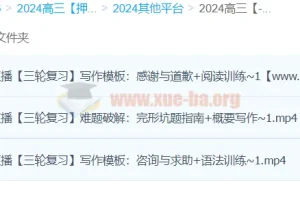 2024高三高考英语 顾斐英语 三轮复习
