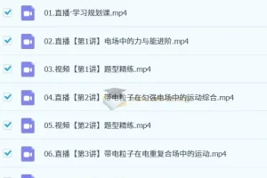 朝鲜阳 高中物理 2024-2025高二物理 A+秋季班 寒假班