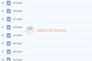 拼音基础启蒙课程（20集动画版）百度云下载