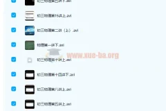 初中物理 海边直播 曹旭阳 初三物理秋季尖子班 15讲带讲义完结